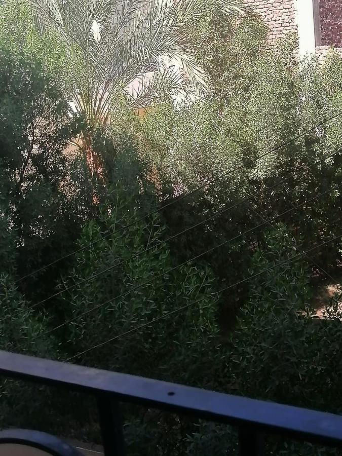 Winter Guest House الأقصر المظهر الخارجي الصورة