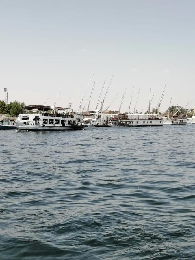 Winter Guest House الأقصر المظهر الخارجي الصورة