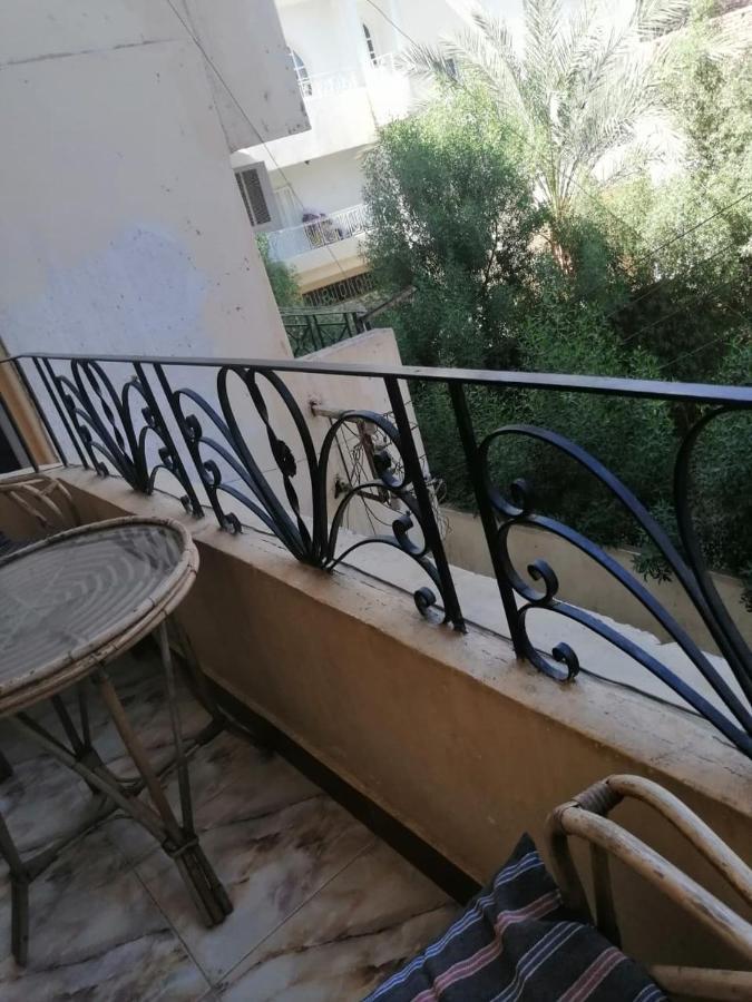Winter Guest House الأقصر المظهر الخارجي الصورة