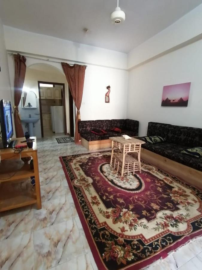 Winter Guest House الأقصر المظهر الخارجي الصورة