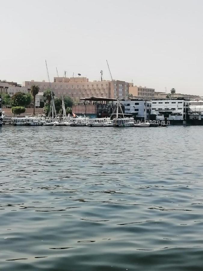 Winter Guest House الأقصر المظهر الخارجي الصورة