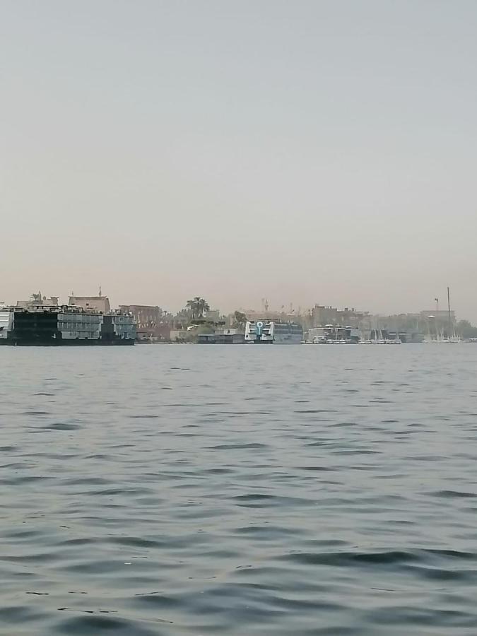 Winter Guest House الأقصر المظهر الخارجي الصورة