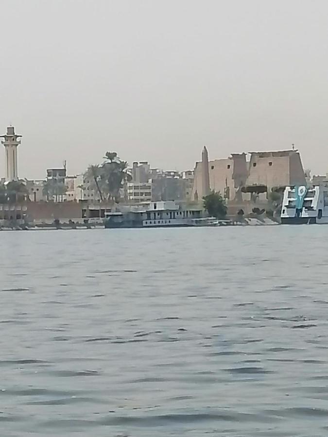 Winter Guest House الأقصر المظهر الخارجي الصورة