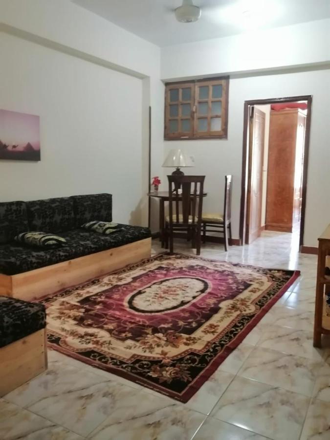 Winter Guest House الأقصر المظهر الخارجي الصورة