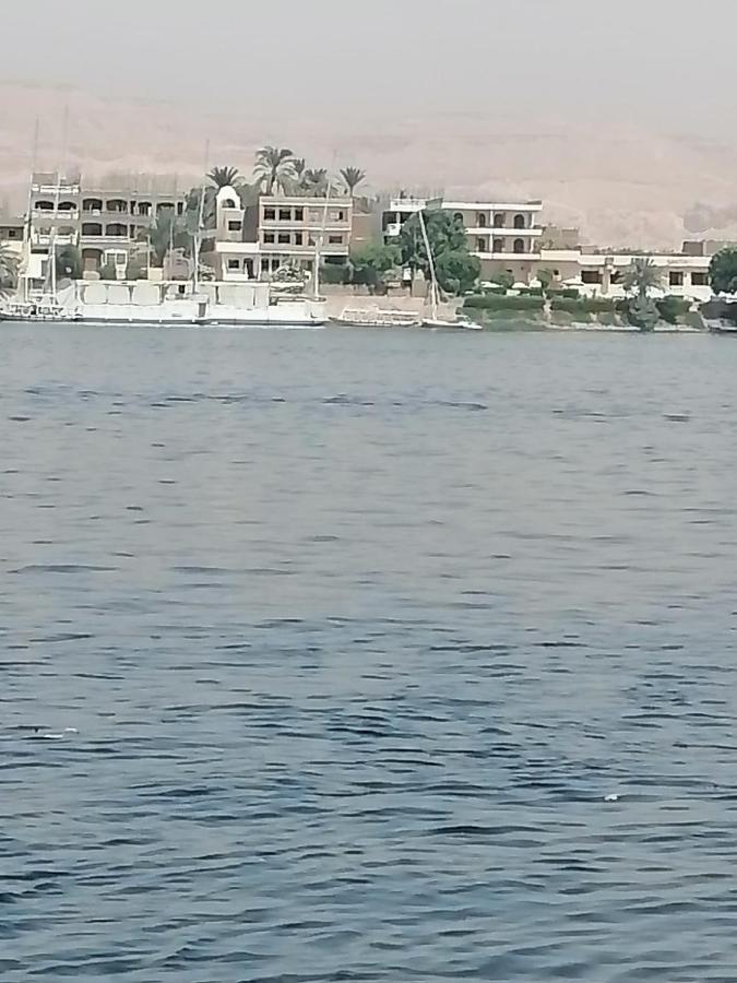 Winter Guest House الأقصر المظهر الخارجي الصورة