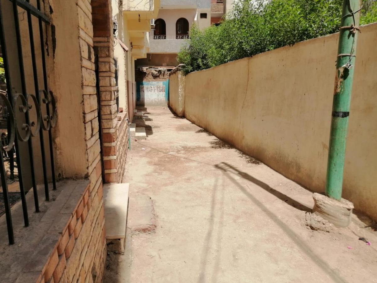 Winter Guest House الأقصر المظهر الخارجي الصورة